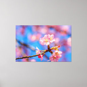 Krans delicate sakurabloesem tegen de blauwe lucht canvas afdruk