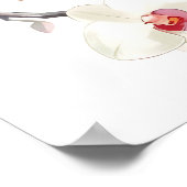 Krans van roze en witte orchideeën Vrijgezellenfee Poster (Hoek)