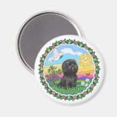 Krans - Zwarte Shih Tzu Magneet (Voorkant / Achterkant)