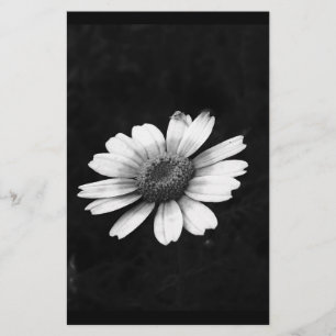 Kranskroon (ook gekroonde ganzenbloem of chrysanth briefpapier
