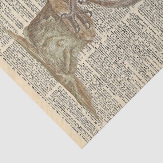  krant met Barn Owl ontkoppeling Tissuepapier (Detail)