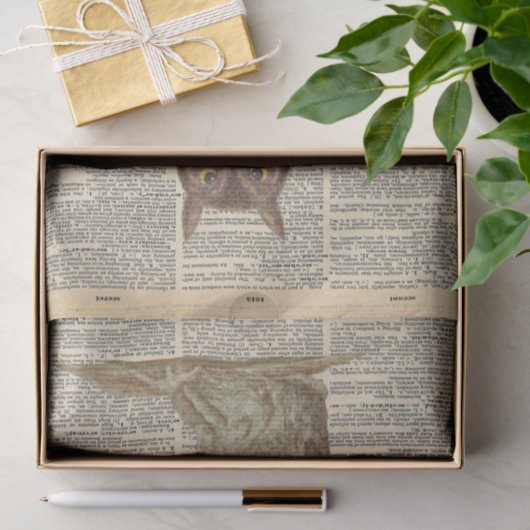  krant met Barn Owl ontkoppeling Tissuepapier (Geschenk)