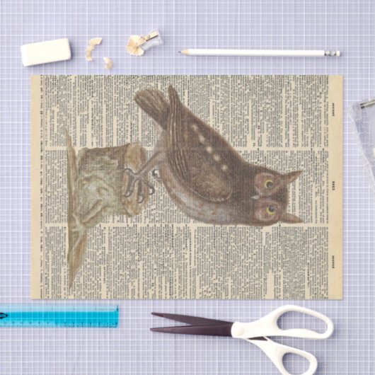  krant met Barn Owl ontkoppeling Tissuepapier (Craft)