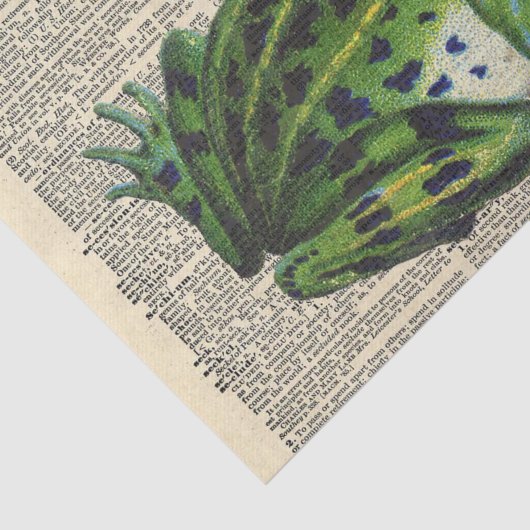  krant met Koning Kikkikker-ontkoppeling Tissuepapier (Detail)