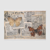  krant met mot en vlinder tissuepapier (Voorkant)