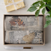  krant met mot en vlinder tissuepapier (Geschenk)