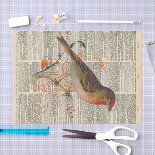  krant met ontkoppeling van vogels tissuepapier (Craft)