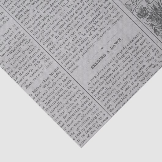  krant tissuepapier (Detail)