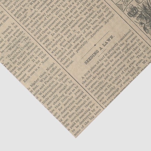  krant tissuepapier (Detail)