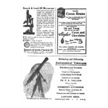  krant van 1900 op volledige pagina Advertentie