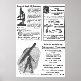  krant van 1900 op volledige pagina Advertentie Poster