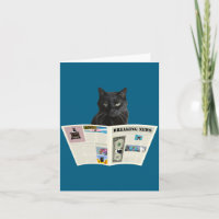 Kranten Doorbraak Nieuws Zwarte Kat Au Journal _1 