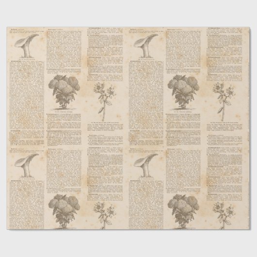  krantenpapier cadeaupapier (Vlak)