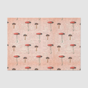 Krantenpapier en champignons tissuepapier