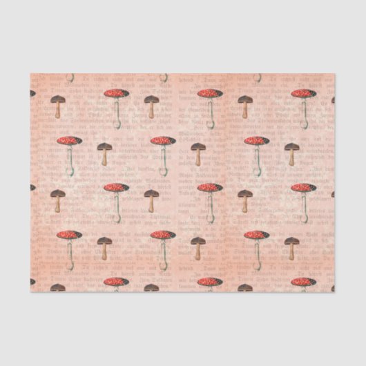 Krantenpapier en champignons tissuepapier (Voorkant)