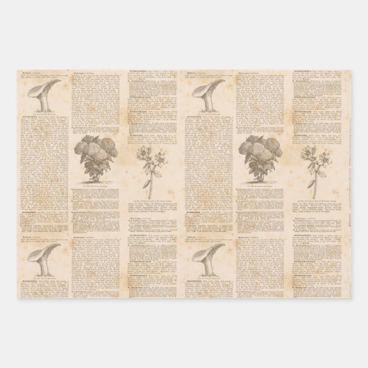  krantenpapier inpakpapier vel (Voorkant 3)