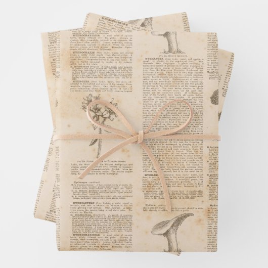  krantenpapier inpakpapier vel (In situ)