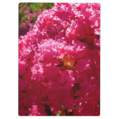 Krape Myrtle Boom Magenta Bloem Klembord (Achterkant)