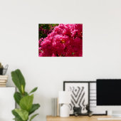 Krape Myrtle Boom Magenta Bloem Poster (Thuiskantoor)