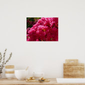 Krape Myrtle Boom Magenta Bloem Poster (Keuken)