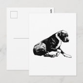 Krasse noot van vrede briefkaart (Voorkant / Achterkant)