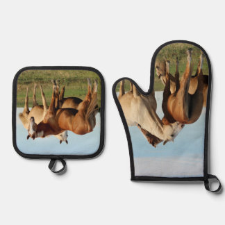 Krat mij en ik kras jou. Paarden Ovenwant & Pannenlap Set
