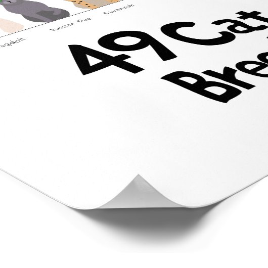 kratendiagram poster (Hoek)