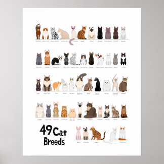 kratendiagram poster