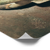 Krater, details van het handvat poster (Hoek)
