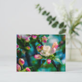 Krattenbloemen en -knoppen briefkaart (Staand voorkant)