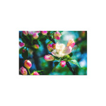 Krattenbloemen en -knoppen