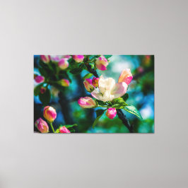 Krattenbloemen en -knoppen canvas afdruk
