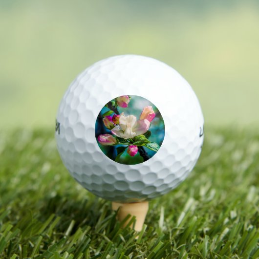 Krattenbloemen en -knoppen golfballen (Insitu Shirt)