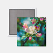 Krattenbloemen en -knoppen magneet (Voorkant / Achterkant)