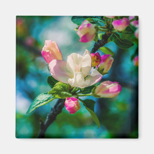 Krattenbloemen en -knoppen magneet