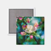 Krattenbloemen en -knoppen magneet (Voorkant / Achterkant)