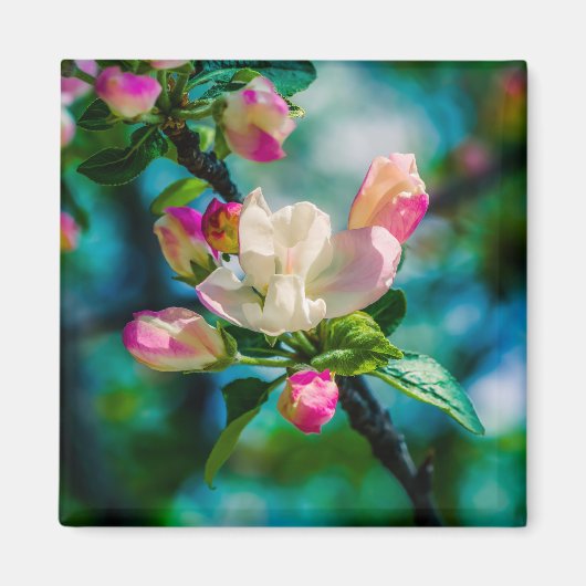 Krattenbloemen en -knoppen magneet (Voorkant)