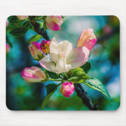 Krattenbloemen en -knoppen muismat (Voorkant)