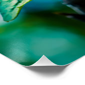 Krattenbloemen en -knoppen perfect poster (Hoek)