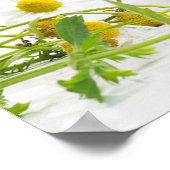 Kräutergarten Poster (Hoek)