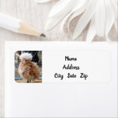 ** KRAZY KICKEN** LABEL HERSTEL ADRES (Insitu)