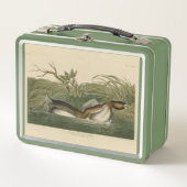 Krebe van Audubon's vogels in Amerika (Voorkant)