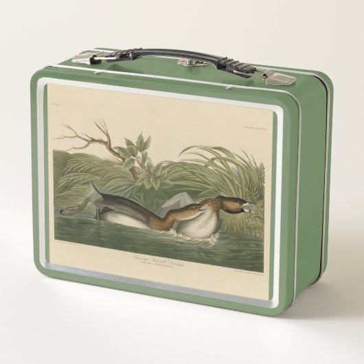 Krebe van Audubon's vogels in Amerika (Achterkant)