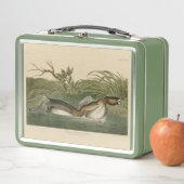 Krebe van Audubon's vogels in Amerika (In situ)