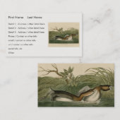 Krebe van Audubon's vogels in Amerika Visitekaartje (Voorkant / Achterkant)