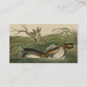 Krebe van Audubon's vogels in Amerika Visitekaartje (Achterkant)