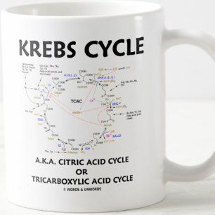 Krebs Cycle, ook bekend als Citroenzuurcyclus, tri Koffiemok