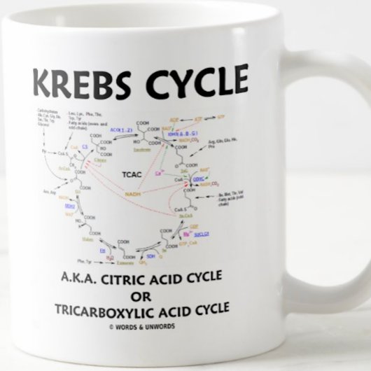 Krebs Cycle, ook bekend als Citroenzuurcyclus, tri Koffiemok