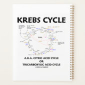 Krebs Cycle, ook bekend als Citroenzuurcyclus, tri Planner (Achterkant)