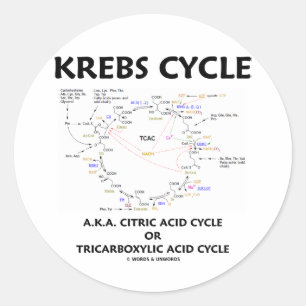 Krebs Cycle, ook bekend als Citroenzuurcyclus, tri Ronde Sticker